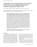 Báo cáo khoa học: Campylobacter spp., Salmonella spp., Verocytotoxic Escherichia coli, and Antibiotic Resistance in Indicator Organisms in Wild Cervids