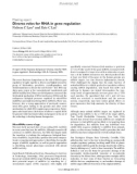 Báo cáo y học: iverse roles for RNA in gene regulation