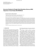 Báo cáo hóa học: Structural Analysis of Single-Point Mutations Given an RNA Sequence: A Case Study with RNAMute