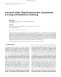 Báo cáo hóa học: Automatic Video Object Segmentation Using Volume Growing and Hierarchical Clustering