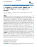 báo cáo khoa học: A SSR-based composite genetic linkage map for the cultivated peanut (Arachis hypogaea L.) genome