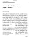 Báo cáo hóa học: Single step process for the synthesis of carbon nanotubes and metal/alloy-ﬁlled multiwalled carbon nanotubes