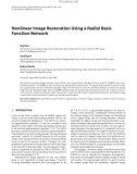 Báo cáo hóa học: Nonlinear Image Restoration Using a Radial Basis Function Network