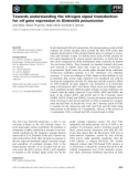 Báo cáo khoa học: Towards understanding the nitrogen signal transduction for nif gene expression in Klebsiella pneumoniae