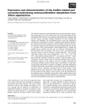 Báo cáo khoa học: Expression and characterization of the bioﬁlm-related and carnosine-hydrolyzing aminoacylhistidine dipeptidase from Vibrio alginolyticus