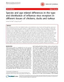 Báo cáo y học: Species and age related differences in the type and distribution of influenza virus receptors in different tissues of chickens, ducks and turkeys