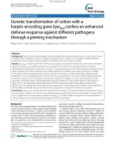 báo cáo khoa học: Genetic transformation of cotton with a harpin-encoding gene hpaXoo confers an enhanced defense response against different pathogens through a priming mechanism