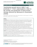 Báo cáo y học: Transforming growth factor b 869C/T and interleukin 6 -174G/C polymorphisms relate to the severity and progression of bone-erosive damage detected by ultrasound in rheumatoid arthritis