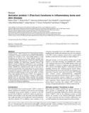 Báo cáo y học: Activator protein 1 (Fos/Jun) functions in inflammatory bone and skin disease