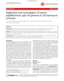 Báo cáo y học: Replication and transcription of human papillomavirus type 58 genome in Saccharomyces cerevisiae