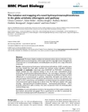 báo cáo khoa học: The isolation and mapping of a novel hydroxycinnamoyltransferase in the globe artichoke chlorogenic acid pathway