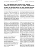 Báo cáo Y học: A Ca2+/CaM-dependent kinase from pea is stress regulated and in vitro phosphorylates a protein that binds to AtCaM5 promoter