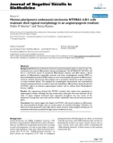 Báo cáo khoa hoc: Human pluripotent embryonal carcinoma NTERA2 cl.D1 cells maintain their typical morphology in an angiomyogenic medium