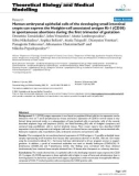 Báo cáo y học: Human embryonal epithelial cells of the developing small intestinal crypts can express the Hodgkin-cell associated antigen Ki-1 (CD30) in spontaneous abortions during the first trimester of gestation