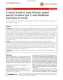 Báo cáo y học: A mouse model to study infection against porcine circovirus type 2: viral distribution and lesions in mouse