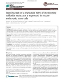 Báo cáo y học: Identification of a truncated form of methionine sulfoxide reductase a expressed in mouse embryonic stem cells