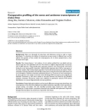 Báo cáo y học: Comparative profiling of the sense and antisense transcriptome of maize lines