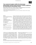 Báo cáo khoa học: Two conserved regions within the tissue-type plasminogen activator gene promoter mediate regulation by brain-derived neurotrophic factor