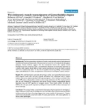 Báo cáo y học: The Lefe algorithm: embracing the complexity of gene expression in the interpretation of microarray data