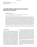 Báo cáo hóa học: Joint MIMO-OFDM and MAC Design for Broadband Multihop Ad Hoc Networks