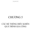 CÁC HỆ THỐNG ĐIỀU KHIỂN QUÁ TRÌNH GIA CỒNG