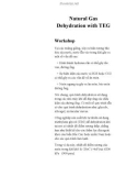 Natural Gas Dehydration with TEG