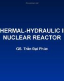 THERMAL-HYDRAULIC IN NUCLEAR REACTOR