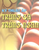 Hướng dẫn ấp trứng gà, trứng ngan: Phần 1