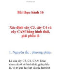 Xác định cây C3, cây C4 và cây CAM