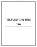 Tổng Quan Rông Hồng Vân