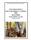 Giáo trình Chuẩn bị trồng và trồng mới - MĐ03: Trồng cây bơ