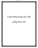 Luân trùng trong sản xuất giống thủy sản