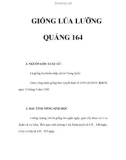 GIỐNG LÚA LƯỠNG QUẢNG 164