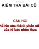 Tế bào nhân thực