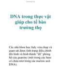 DNA trong thực vật giúp cho tế bào trường thọ