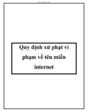 Quy định xử phạt vi phạm về tên miền internet