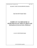 Luận án Tiến sĩ Dược học: Nghiên cứu tác động dược lý hướng bảo vệ gan, thận của Bí kỳ nam (Hydnophytum formicarum Jack., Rubiaceae)