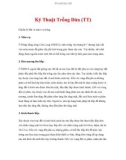 Kỹ Thuật Trồng Dừa (TT)