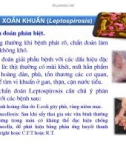 Thú y cơ bản : Các bệnh truyền nhiễm part 8