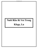 Nuôi Rắn Ri Voi Trong Khạp, Lu