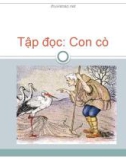 Giáo án điện tử môn Tiếng Việt lớp 3 - Tuần 31: Tập đọc Con cò