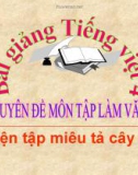 Bài giảng Tập làm văn: Luyện tập miêu tả cây cối - Tiếng việt 4 - GV.N.Hoài Thanh