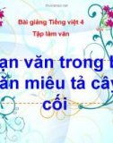 Slide bài Tập làm văn: Đoạn văn trong bài tả cây cối - Tiếng việt 4 - GV.Lâm Ngọc Hoa