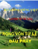 Slide bài LTVC: Mở rộng vốn từ: Lễ hội. Dấu phẩy - Tiếng việt 3 - GV.N.Tấn Tài