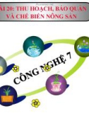 Bài giảng Thu hoạch bảo quản và chế biến nông sản - Công nghệ 7 - GV. L.M.Trang