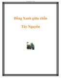 Đồng Xanh giữa chốn Tây Nguyên