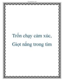 Trốn chạy cảm xúc, Giọt nắng trong tim