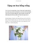 Tặng em hoa hồng trắng