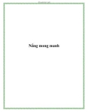 Nắng mong manh