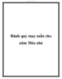 Bánh quy may mắn cho năm Mèo nhé